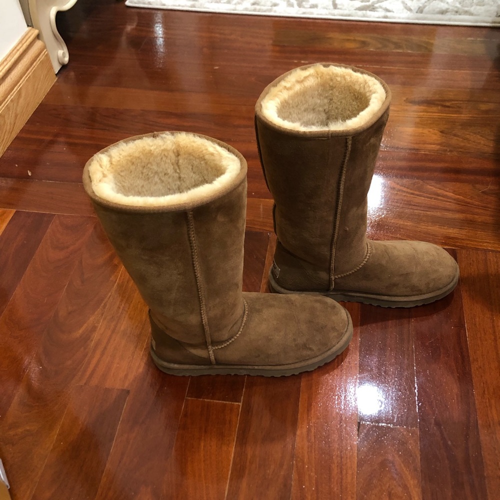 Chestnut tall uggs